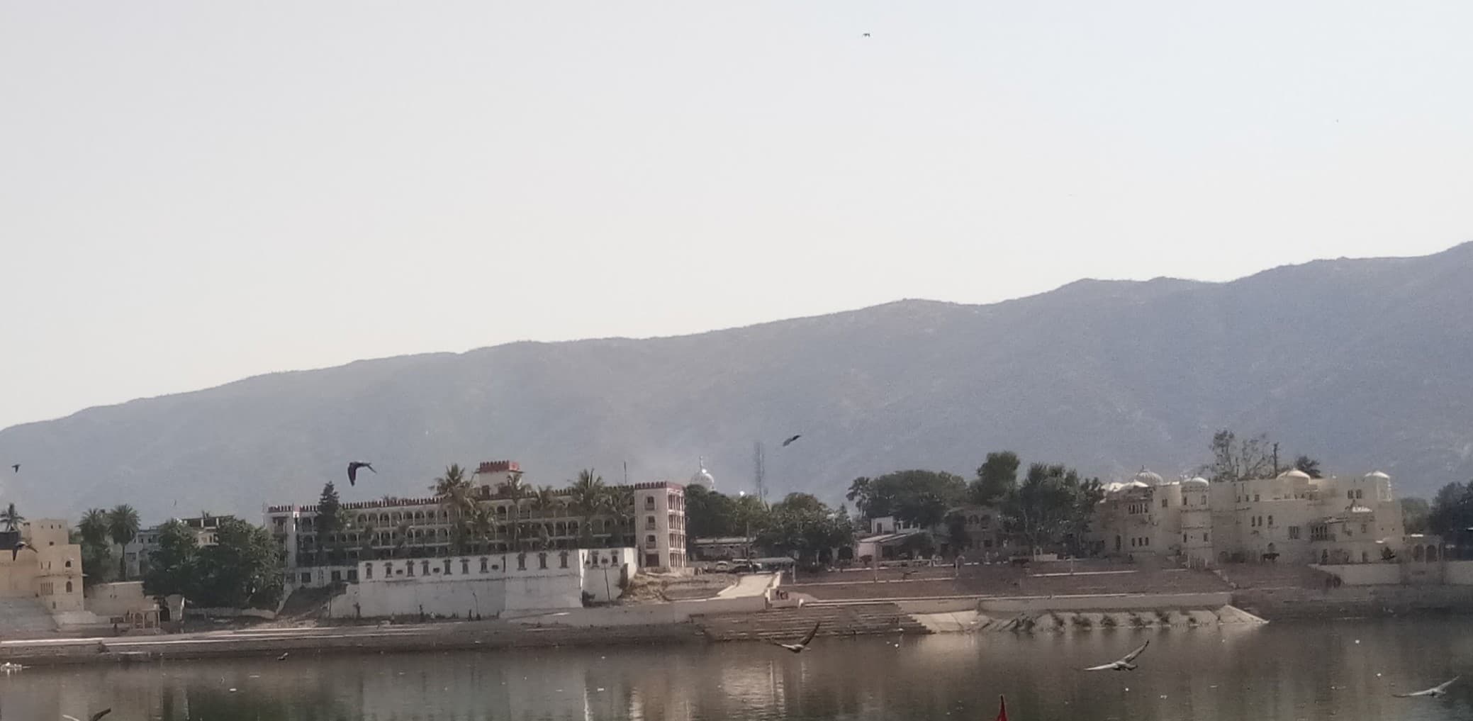 Building Compassionate Communities: Conversation, Care, and Shared Responsibility