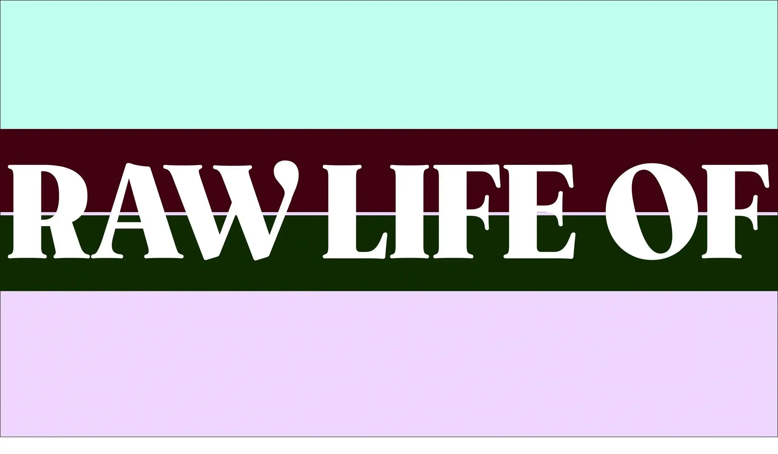 RAW Beginnings: A Journey Through Life Honestly